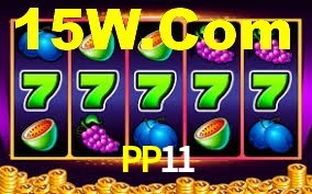 PP11,pp11.com