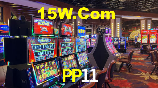 PP11,pp11.com