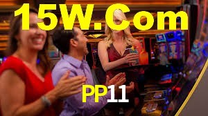 PP11,pp11.com