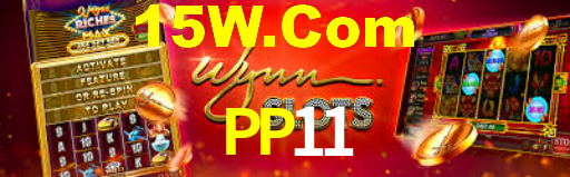 pp11.com