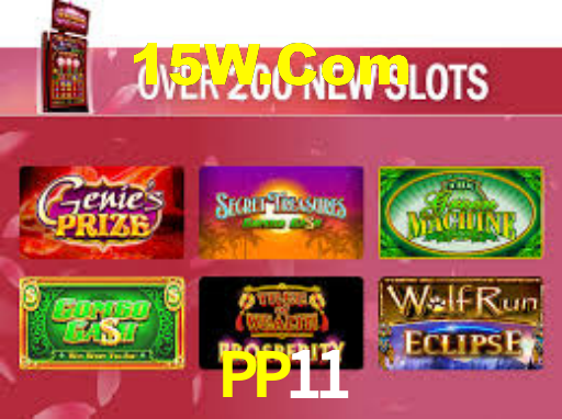 PP11,pp11.com