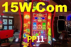 PP11,pp11.com