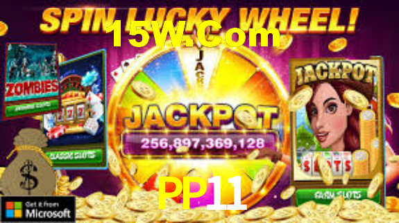pp11.com