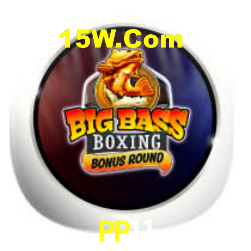 PP11,pp11.com