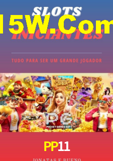 PP11,pp11.com