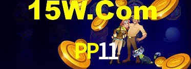 PP11,pp11.com