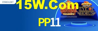 Instant EasyPaisa PP11