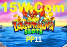 Welcome Bonus PP11